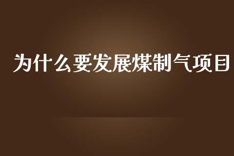 为什么要发展煤制气项目_https://www.lcjysmgs.com_德指行情直播_第1张