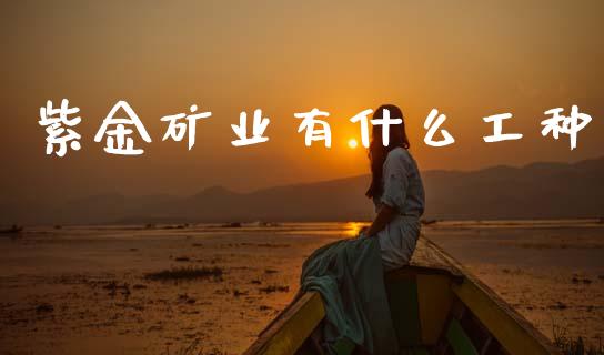 紫金矿业有什么工种_https://www.lcjysmgs.com_恒指直播平台_第1张