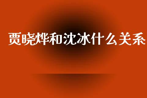 贾晓烨和沈冰什么关系_https://www.lcjysmgs.com_恒生指数直播_第1张