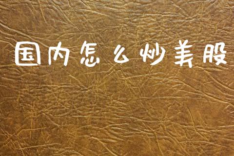国内怎么炒美股_https://www.lcjysmgs.com_黄金期货直播喊单_第1张