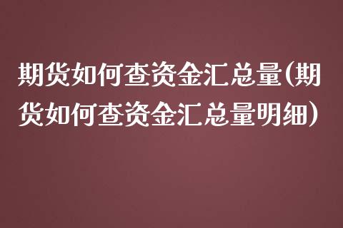 期货如何查资金汇总量(期货如何查资金汇总量明细)_https://www.lcjysmgs.com_恒生指数直播_第1张