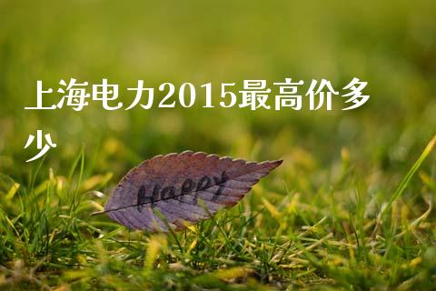 上海电力2015最高价多少_https://www.lcjysmgs.com_黄金期货直播喊单_第1张