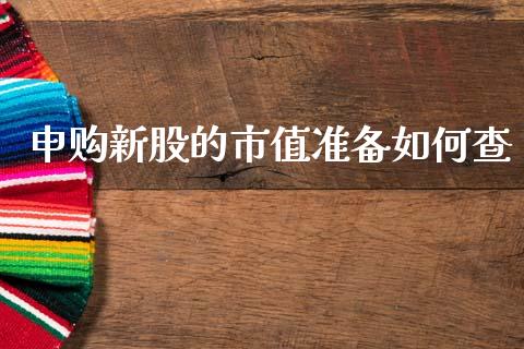 申购新股的市值准备如何查_https://www.lcjysmgs.com_黄金期货直播喊单_第1张