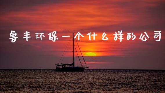 鲁丰环保一个什么样的公司_https://www.lcjysmgs.com_德指行情直播_第1张