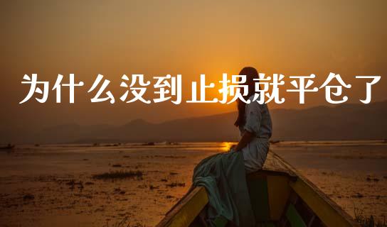 为什么没到止损就平仓了_https://www.lcjysmgs.com_恒生指数直播_第1张