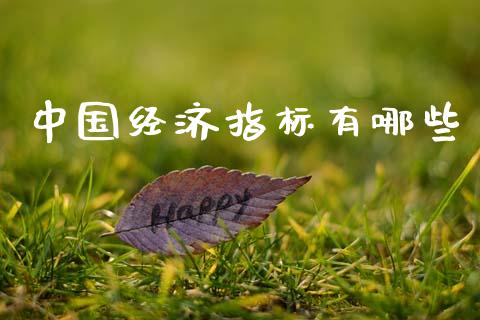 中国经济指标有哪些_https://www.lcjysmgs.com_德指行情直播_第1张