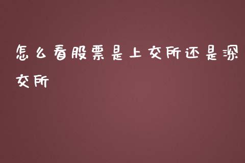 怎么看股票是上交所还是深交所_https://www.lcjysmgs.com_恒指直播平台_第1张