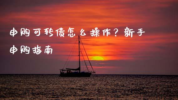 申购可转债怎么操作？新手申购指南_https://www.lcjysmgs.com_恒生指数直播_第1张