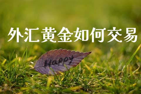 外汇黄金如何交易_https://www.lcjysmgs.com_恒指直播平台_第1张