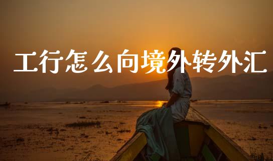 工行怎么向境外转外汇_https://www.lcjysmgs.com_恒生指数直播_第1张