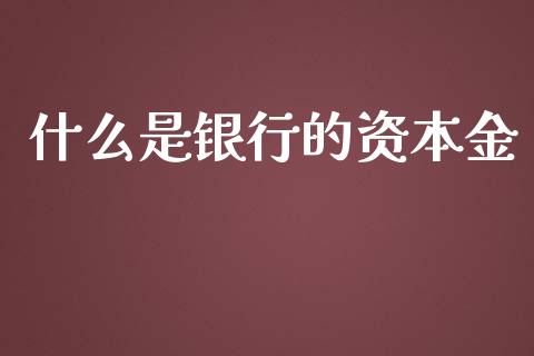 什么是银行的资本金_https://www.lcjysmgs.com_恒指直播平台_第1张