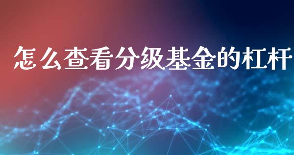 怎么查看分级基金的杠杆_https://www.lcjysmgs.com_恒指直播平台_第1张