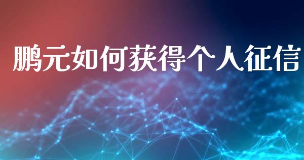 鹏元如何获得个人征信_https://www.lcjysmgs.com_黄金期货直播喊单_第1张