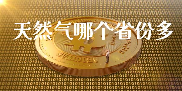天然气哪个省份多_https://www.lcjysmgs.com_黄金期货直播喊单_第1张