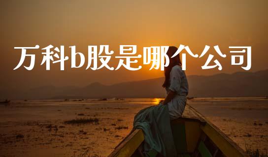 万科b股是哪个公司_https://www.lcjysmgs.com_恒指直播平台_第1张