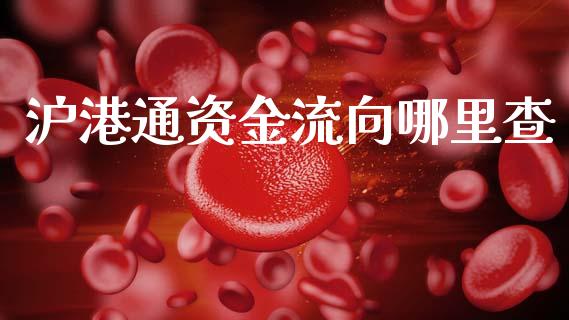 沪港通资金流向哪里查_https://www.lcjysmgs.com_德指行情直播_第1张