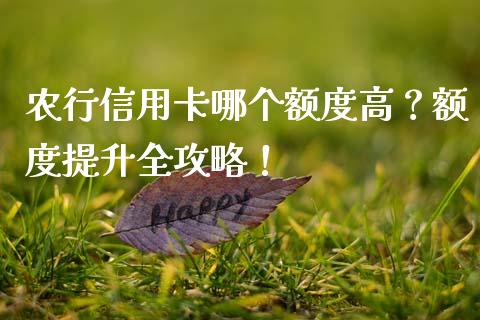 农行信用卡哪个额度高？额度提升全攻略！_https://www.lcjysmgs.com_恒指直播平台_第1张