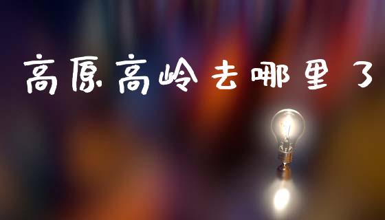 高原高岭去哪里了_https://www.lcjysmgs.com_恒指直播平台_第1张