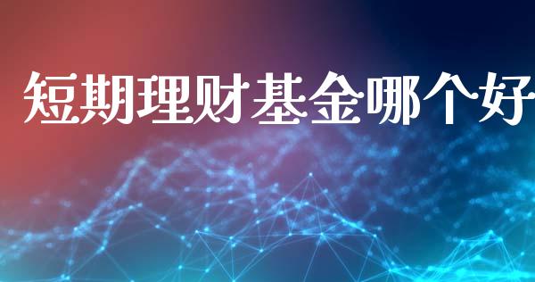 短期理财基金哪个好_https://www.lcjysmgs.com_德指行情直播_第1张