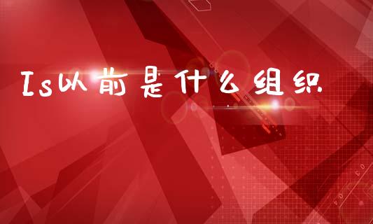 Is以前是什么组织_https://www.lcjysmgs.com_德指行情直播_第1张