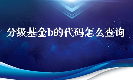 分级基金b的代码怎么查询_https://www.lcjysmgs.com_恒生指数直播_第1张