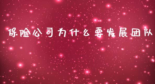 保险公司为什么要发展团队_https://www.lcjysmgs.com_德指行情直播_第1张
