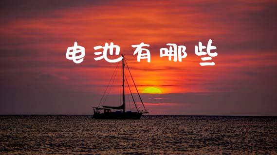 电池有哪些_https://www.lcjysmgs.com_黄金期货直播喊单_第1张