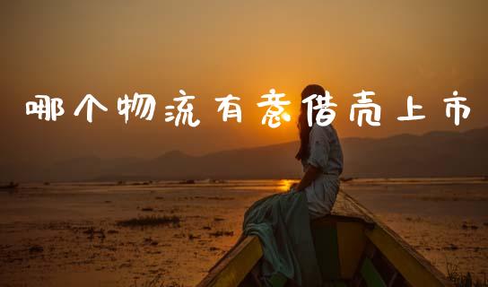 哪个物流有意借壳上市_https://www.lcjysmgs.com_黄金期货直播喊单_第1张