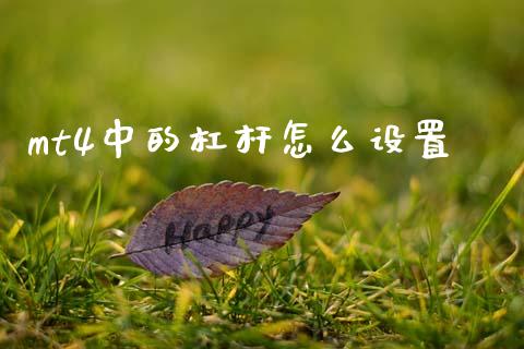 mt4中的杠杆怎么设置_https://www.lcjysmgs.com_恒指直播平台_第1张