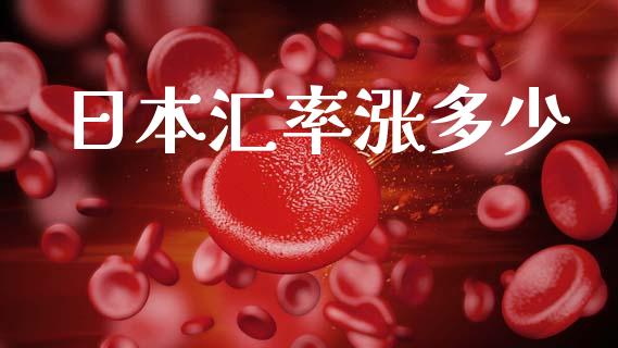 日本汇率涨多少_https://www.lcjysmgs.com_恒指直播平台_第1张