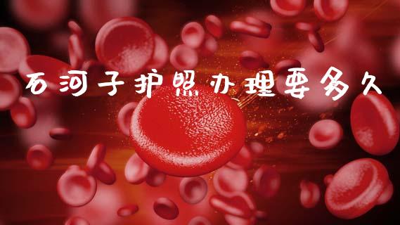 石河子护照办理要多久_https://www.lcjysmgs.com_恒指直播平台_第1张