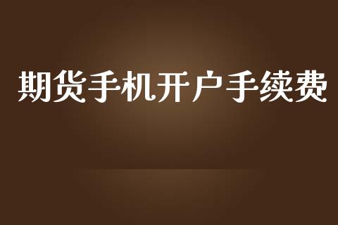 期货手机开户手续费_https://www.lcjysmgs.com_恒生指数直播_第1张