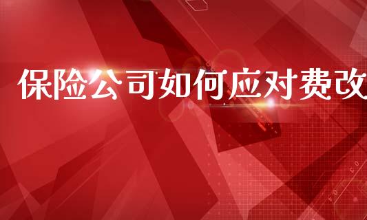 保险公司如何应对费改_https://www.lcjysmgs.com_黄金期货直播喊单_第1张