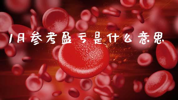 1月参考盈亏是什么意思_https://www.lcjysmgs.com_恒指直播平台_第1张