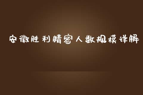 安徽胜利精密人数规模详解_https://www.lcjysmgs.com_恒生指数直播_第1张