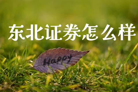 东北证券怎么样_https://www.lcjysmgs.com_恒生指数直播_第1张