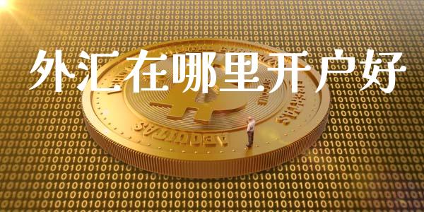 外汇在哪里开户好_https://www.lcjysmgs.com_恒指直播平台_第1张