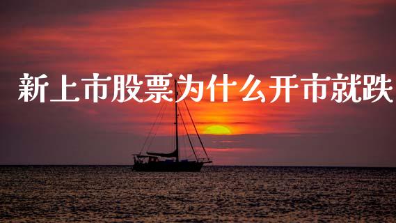 新上市股票为什么开市就跌_https://www.lcjysmgs.com_黄金期货直播喊单_第1张