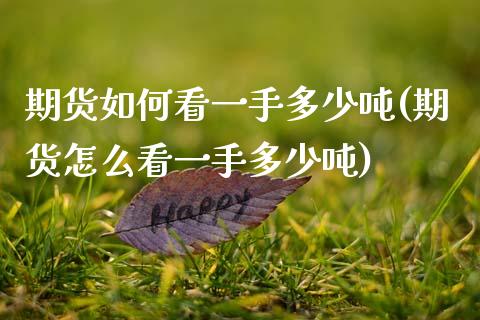 期货如何看一手多少吨(期货怎么看一手多少吨)_https://www.lcjysmgs.com_德指行情直播_第1张