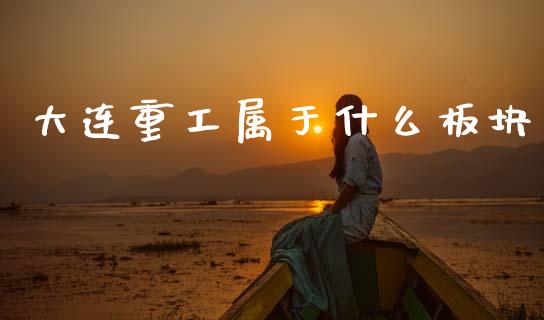 大连重工属于什么板块_https://www.lcjysmgs.com_黄金期货直播喊单_第1张