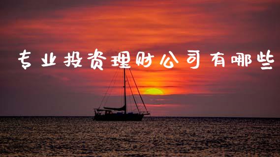 专业投资理财公司有哪些_https://www.lcjysmgs.com_恒指直播平台_第1张