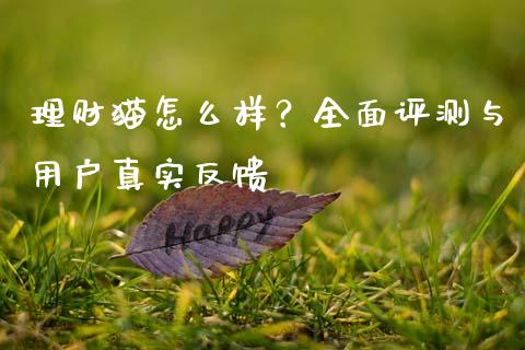 理财猫怎么样？全面评测与用户真实反馈_https://www.lcjysmgs.com_恒生指数直播_第1张