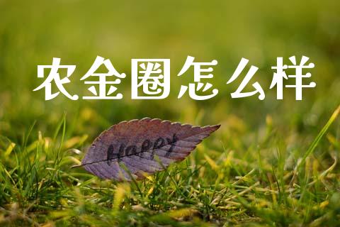 农金圈怎么样_https://www.lcjysmgs.com_黄金期货直播喊单_第1张