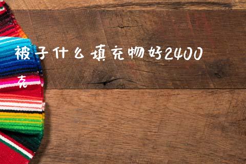 被子什么填充物好2400克_https://www.lcjysmgs.com_恒指直播平台_第1张
