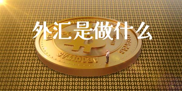 外汇是做什么_https://www.lcjysmgs.com_德指行情直播_第1张