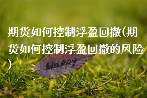 期货如何控制浮盈回撤(期货如何控制浮盈回撤的风险)_https://www.lcjysmgs.com_黄金期货直播喊单_第1张
