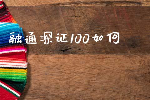 融通深证100如何_https://www.lcjysmgs.com_恒生指数直播_第1张