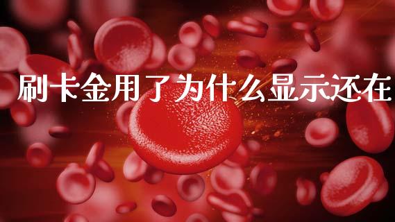 刷卡金用了为什么显示还在_https://www.lcjysmgs.com_德指行情直播_第1张