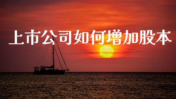 上市公司如何增加股本_https://www.lcjysmgs.com_恒生指数直播_第1张