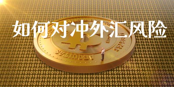 如何对冲外汇风险_https://www.lcjysmgs.com_德指行情直播_第1张